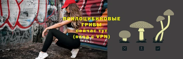 2c-b Пересвет