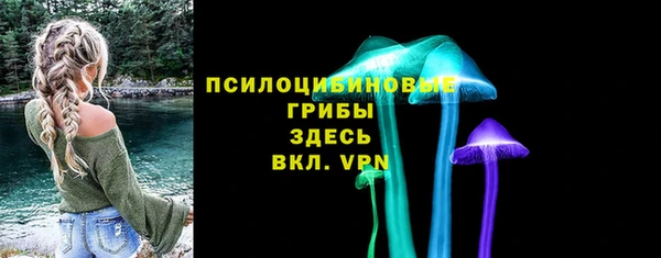 СК Козловка