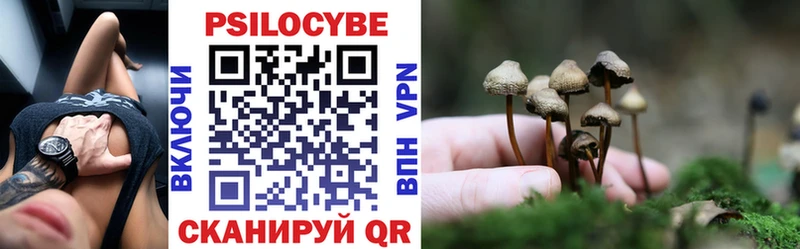 Псилоцибиновые грибы мицелий  Комсомольск 